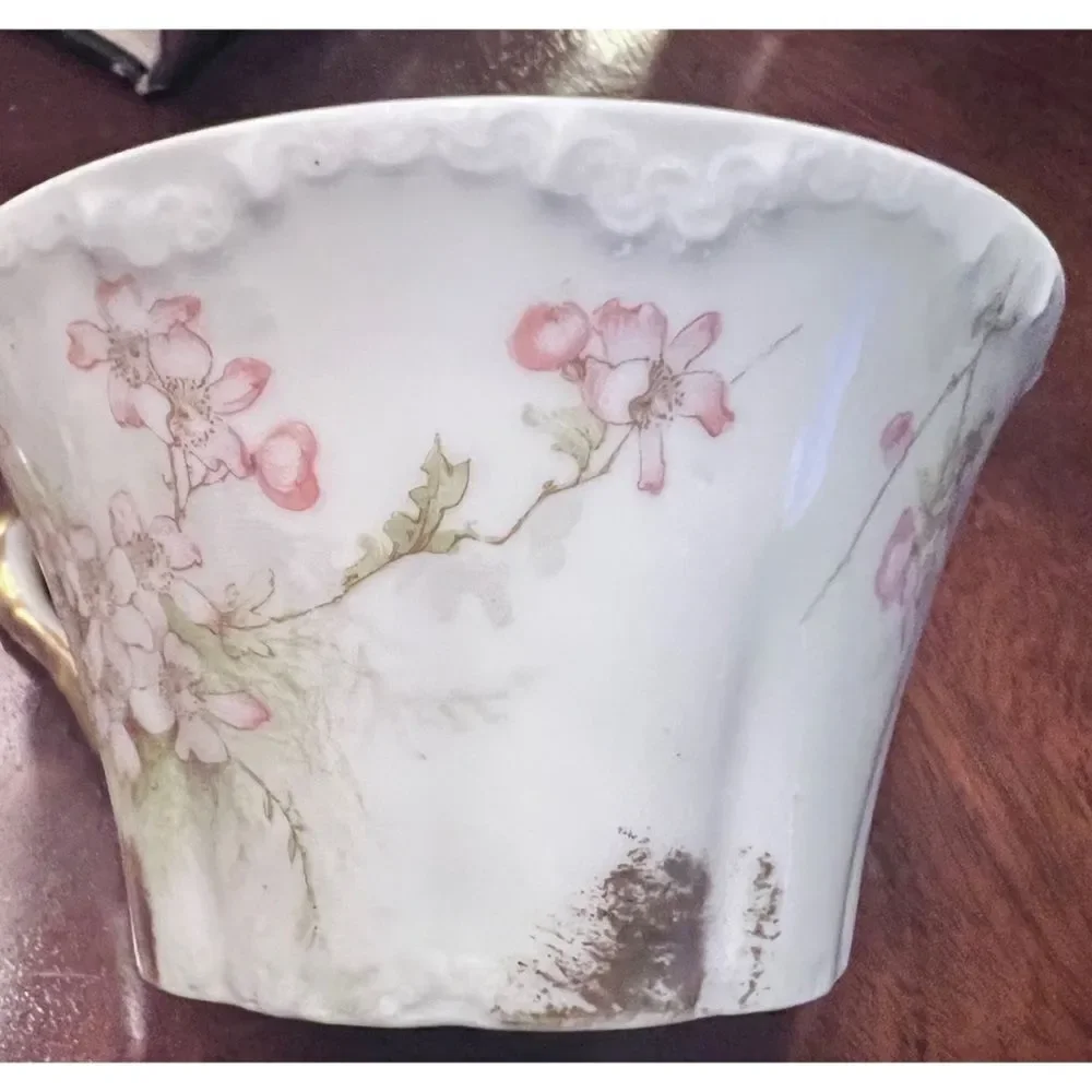 Porcelain Haviland Limoges France tea cup saucer pink green floral gold accent